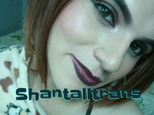 Shantalltrans