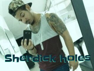 Sherdick_holes