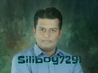 Siliboy7291