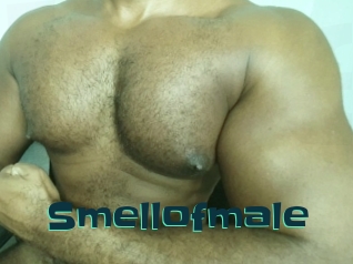 Smellofmale