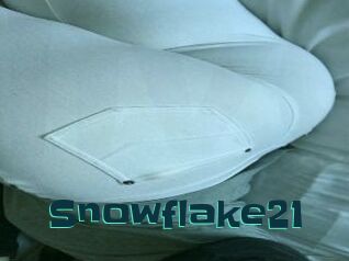 Snowflake21