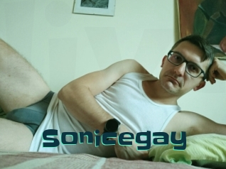 Sonicegay