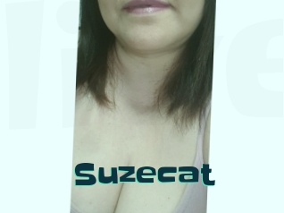 Suzecat
