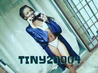 TINY20004