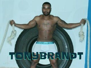 TONYBRANDT