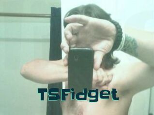 TSFidget