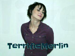 TerrificMerlin