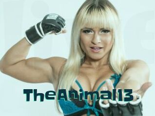 TheAnimal13