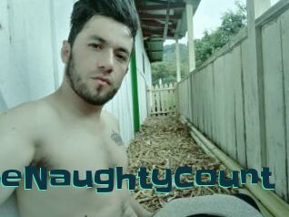 TheNaughtyCount