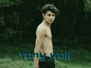 Tony_wolf