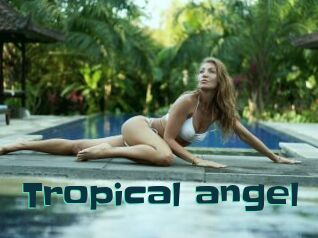 Tropical_angel