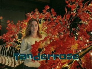 Tanderrose