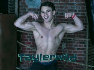 Taylerwild