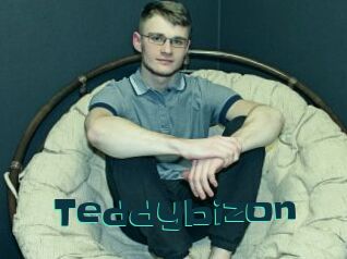 Teddybizon