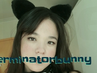 Terminatorbunny