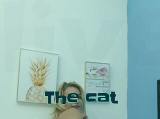 The_cat