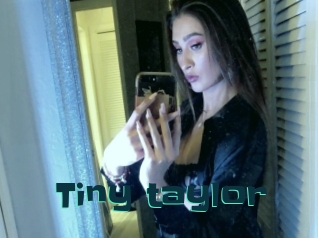 Tiny_taylor
