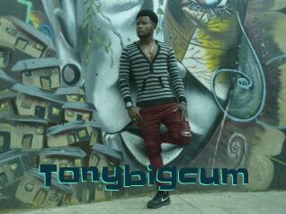 Tonybigcum