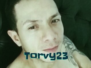 Torvy23