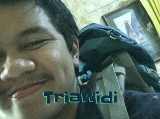 Triawidi