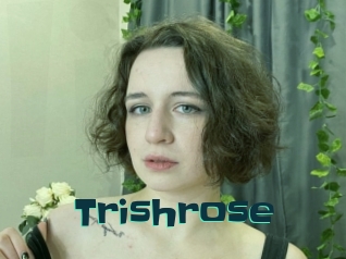 Trishrose