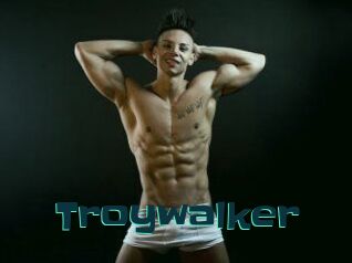 Troywalker