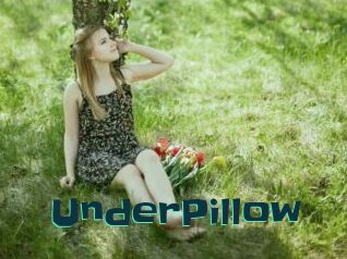 UnderPillow