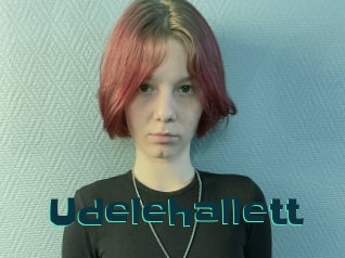 Udelehallett