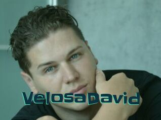 VelosaDavid