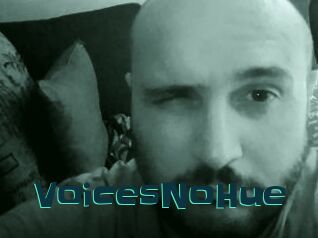 VoicesNoHue