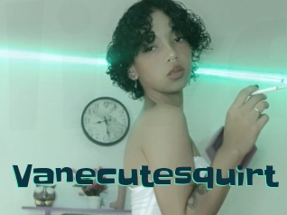 Vanecutesquirt