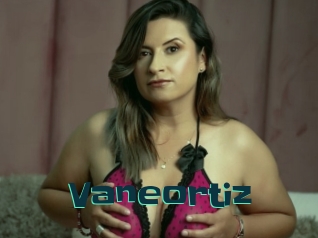 Vaneortiz