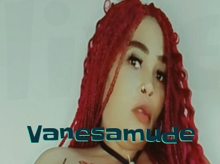 Vanesamude