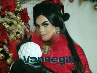 Vannegill