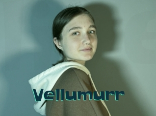 Vellumurr