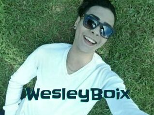 Wesley_Boix