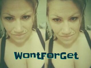 WontForGet Live Cams
