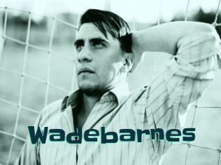 Wadebarnes