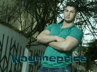 Waynneprice