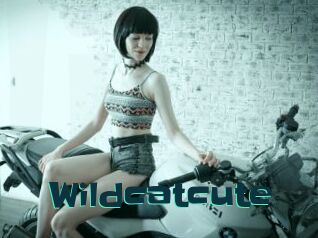 Wildcatcute