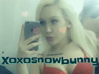 Xoxosnowbunny