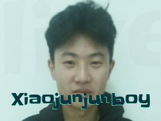 Xiaojunjunboy