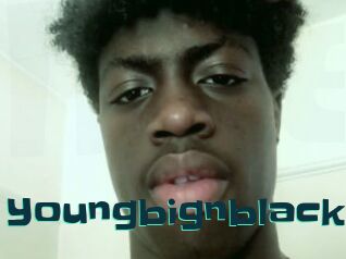 youngbignblack Live Cams
