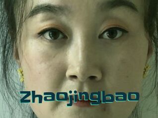 Zhaojingbao