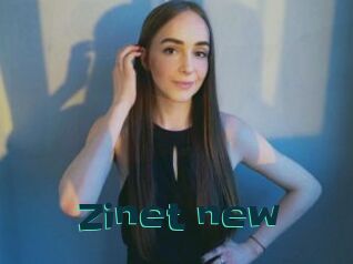 Zinet_new