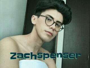 Zachspenser