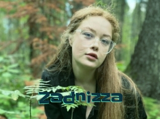 Zadnizza
