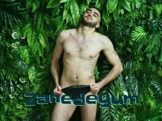 Zanedeyum