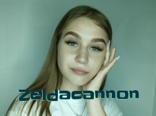 Zeldacannon